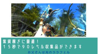 紫貨稼ぎに最適！１５秒で９０レベル収集品ができます！